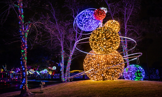 Affordable holiday lights limo rental in Castle Rock, CO